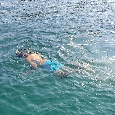 Apartment Place 4 U Center