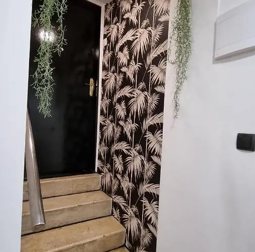 Apartman Place 4 U Center Zára