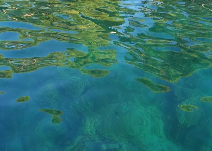 Place 4 U Center * Zára